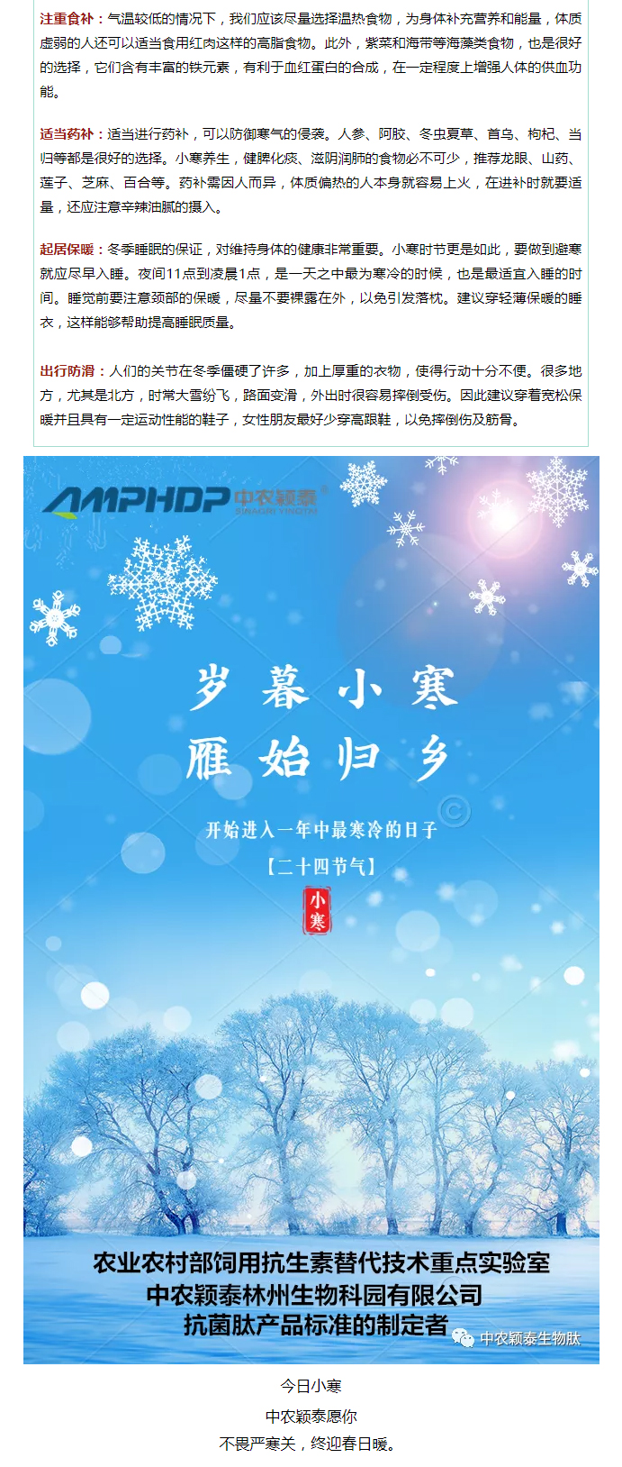2022年（第2期）：小寒今日至，年味已冒頭_04