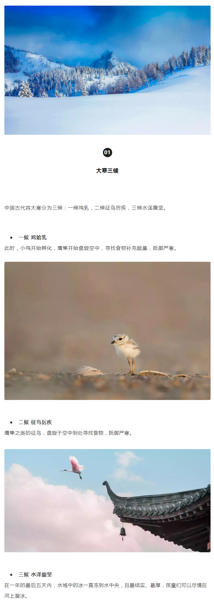 2022年（第5期）：大寒：愿您安暖幸福，歲歲平安_02