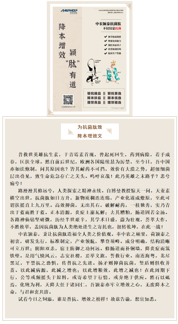 降本增效，穎“肽”有道——抗菌肽降低飼料營養(yǎng)水平應(yīng)用方案_01
