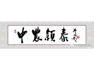 2021年：工作動態(tài)，中農(nóng)穎泰工會順利換屆